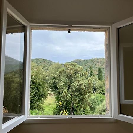 Appartement Soveria Eksteriør billede